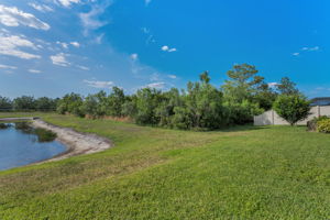 Backyard5