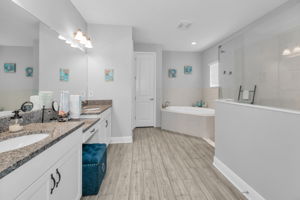 Master Bathroom1a