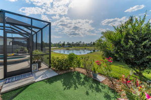 Patio and Backyard