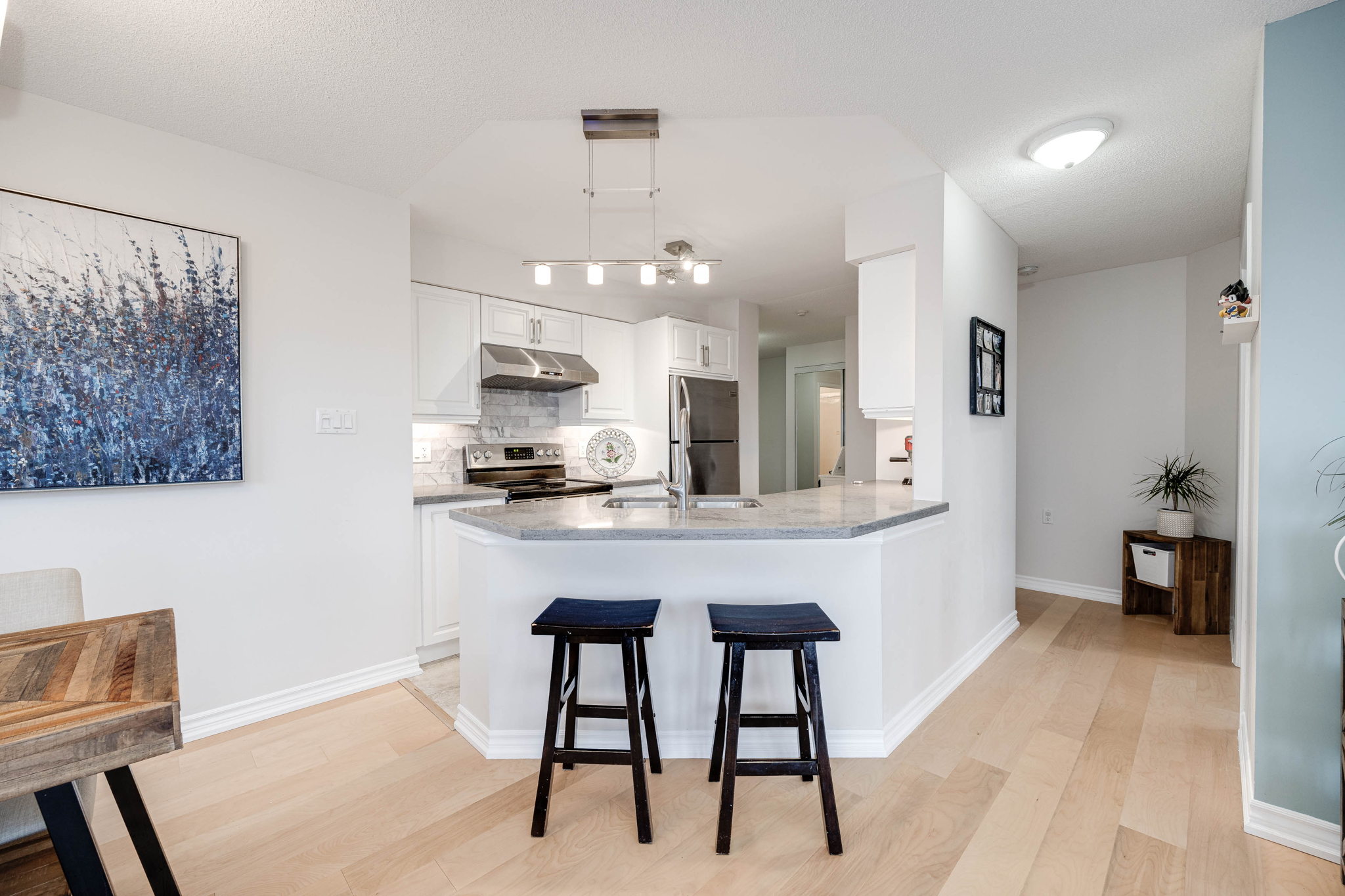 Toronto property showcase — delivered property photograph 11