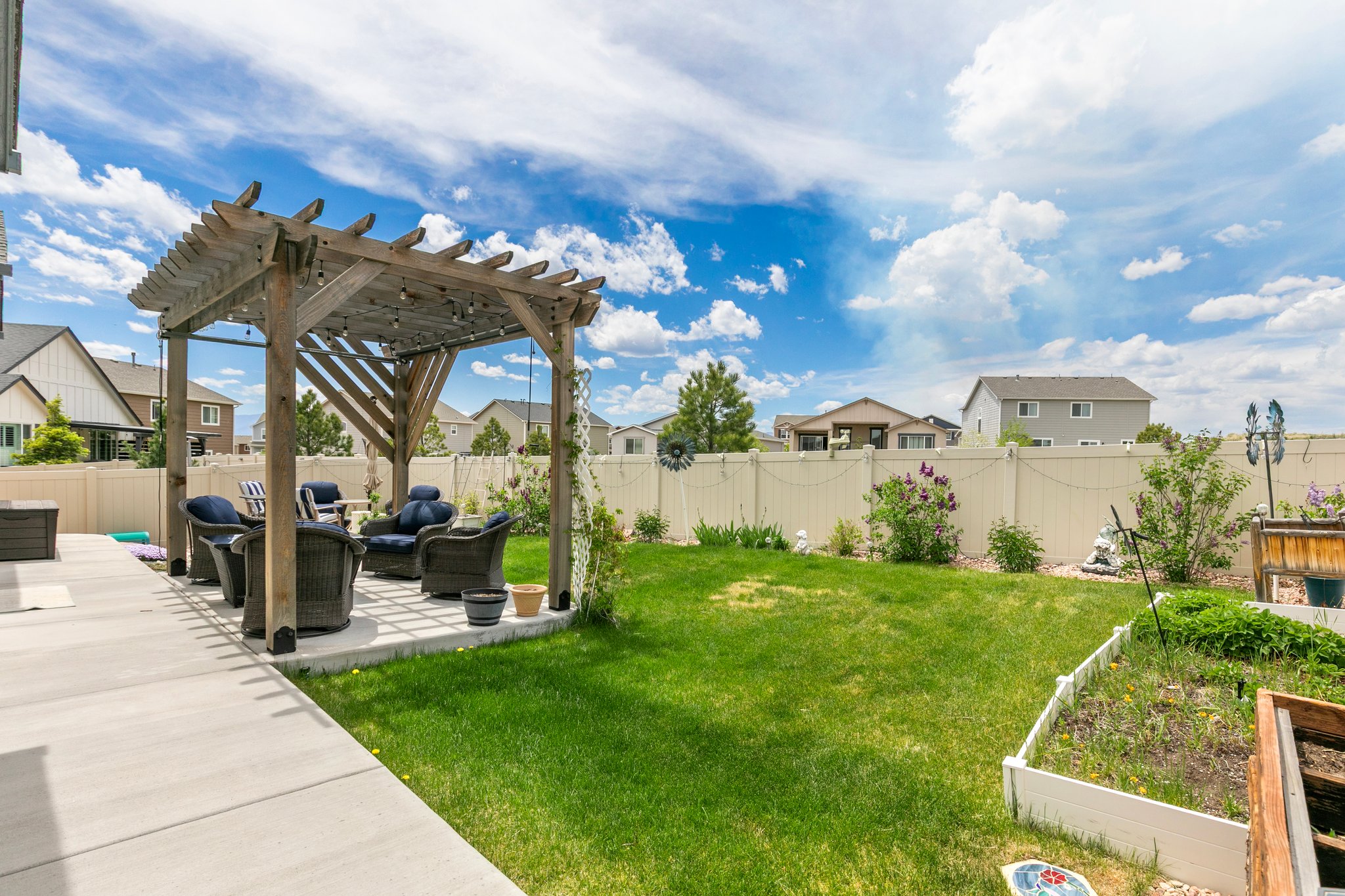 Back Yard