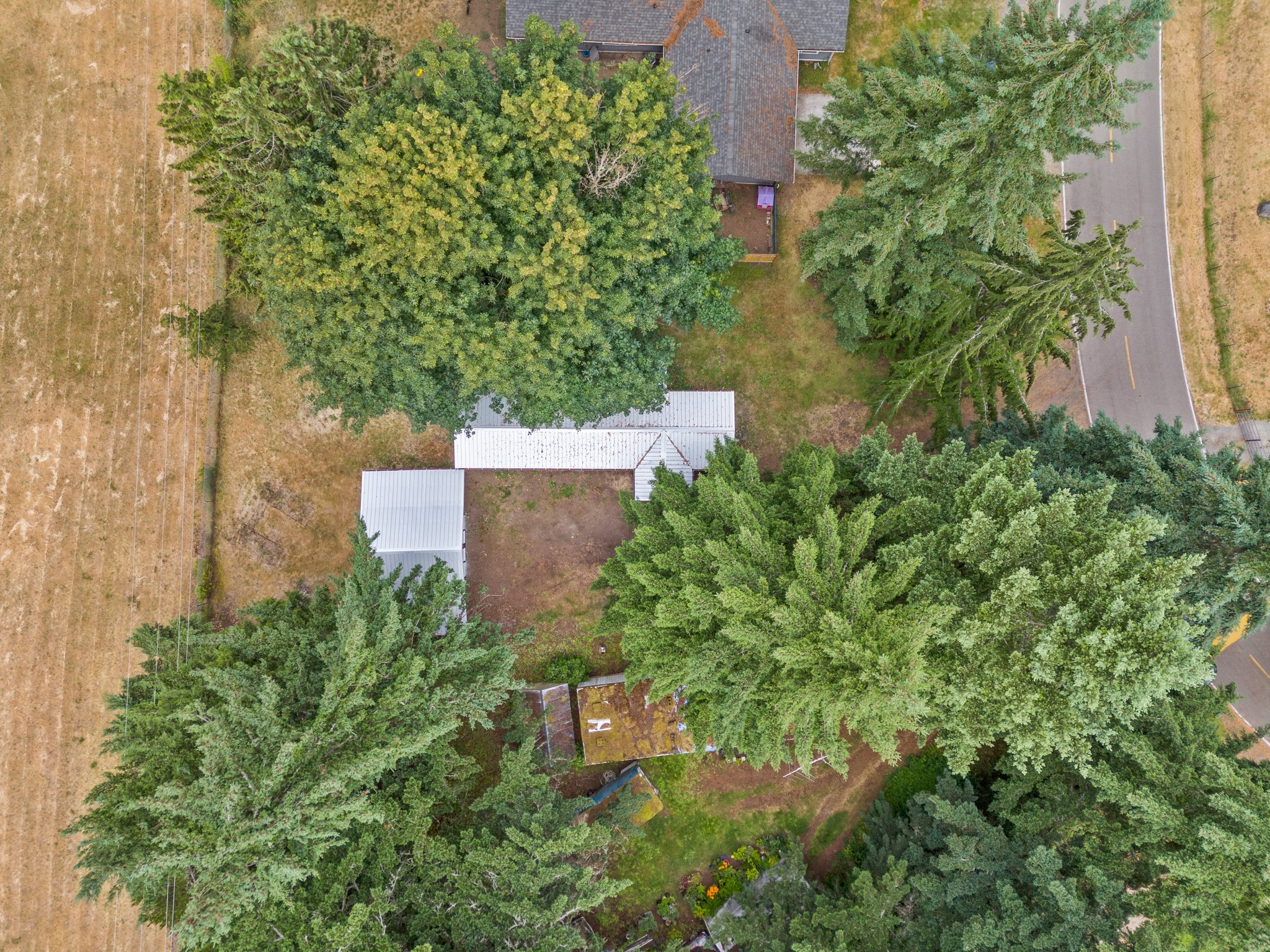 Make this space your own, bring the garden, animals, and summer BBQ's!