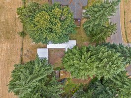 Make this space your own, bring the garden, animals, and summer BBQ's!