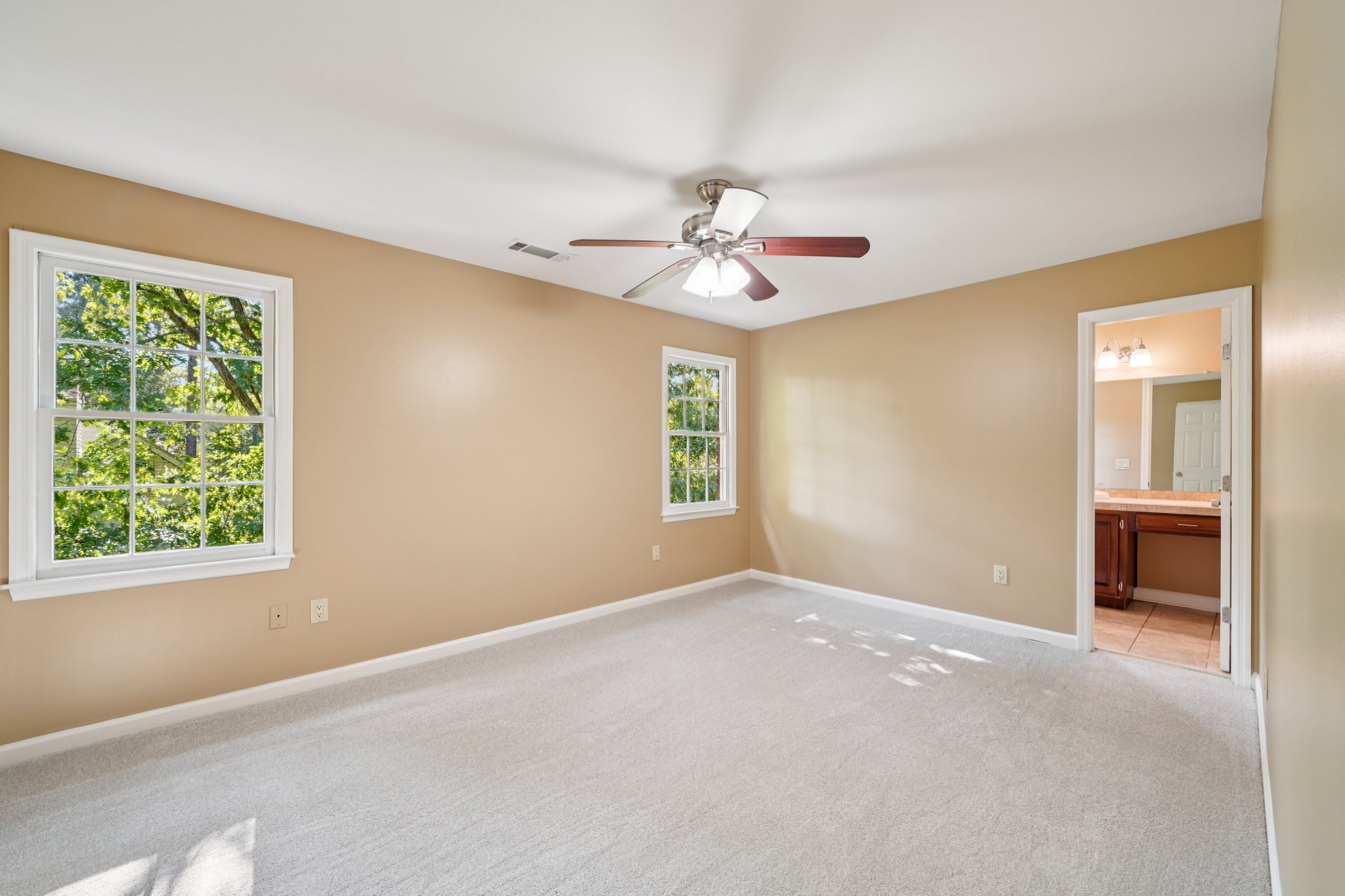 Tulip Poplar Dr-S1709-028.jpg