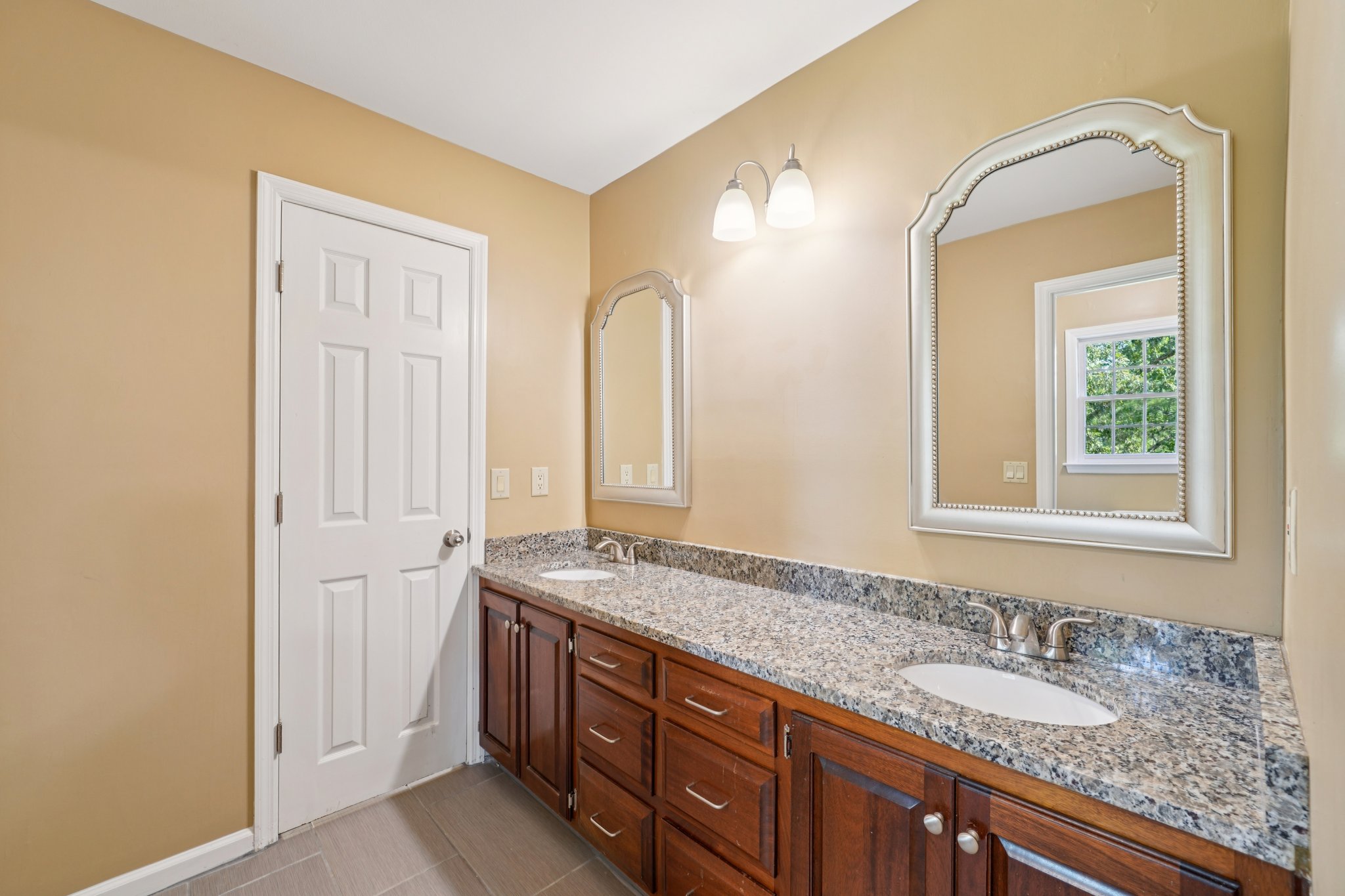 Tulip Poplar Dr-S1709-034.jpg