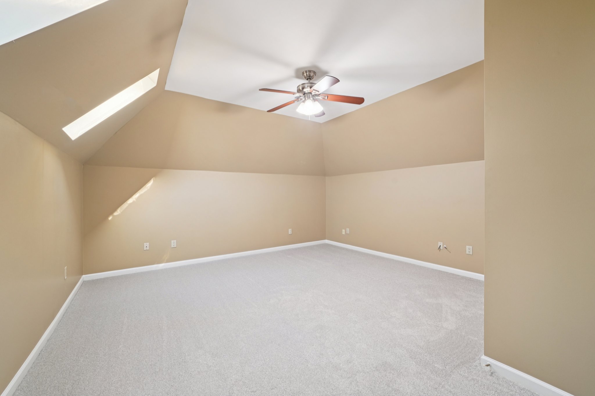 Tulip Poplar Dr-S1709-036.jpg