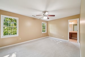 Tulip Poplar Dr-S1709-028.jpg