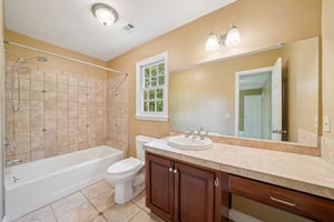 Tulip Poplar Dr-S1709-030.jpg
