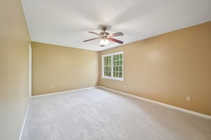 Tulip Poplar Dr-S1709-031.jpg