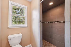 Tulip Poplar Dr-S1709-035.jpg