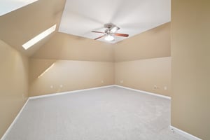 Tulip Poplar Dr-S1709-036.jpg