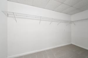 Tulip Poplar Dr-S1709-044.jpg