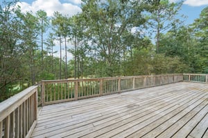 Tulip Poplar Dr-S1709-047.jpg