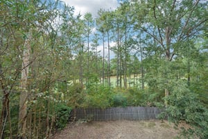 Tulip Poplar Dr-S1709-049.jpg