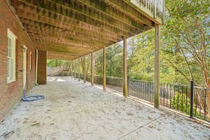 Tulip Poplar Dr-S1709-050.jpg