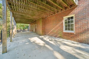 Tulip Poplar Dr-S1709-051.jpg