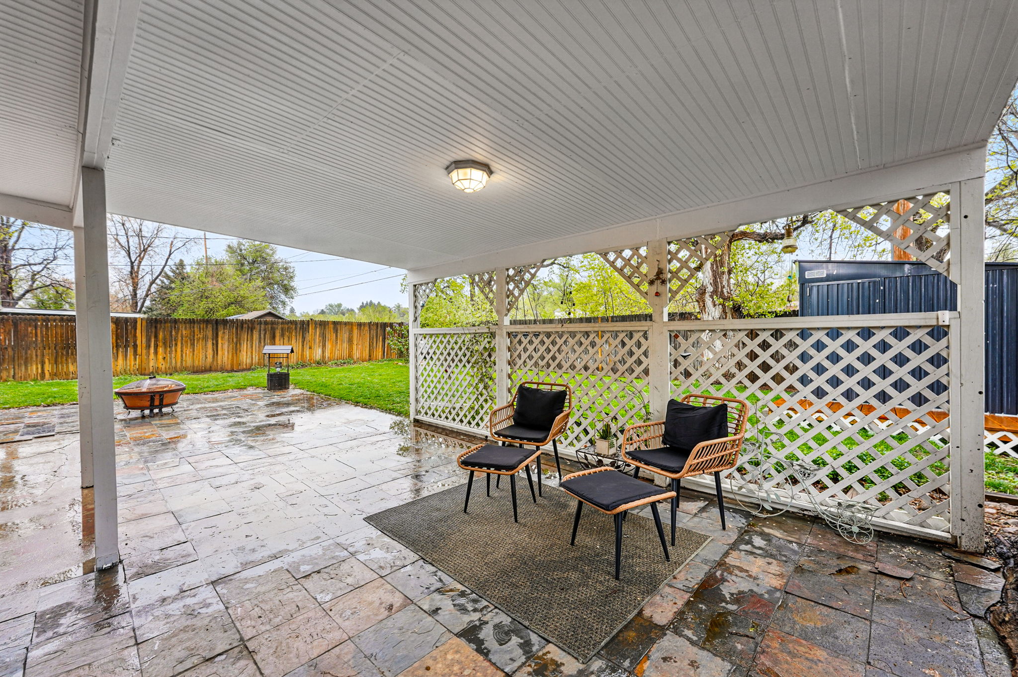 Backyard from the backdoor