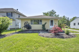  Photo 0