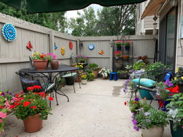  Photo 24