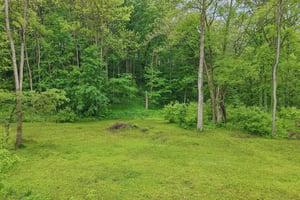 W 86th St-S1605-1-002.jpg