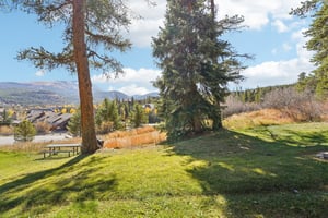 4 O'Clock Rd D1-S0910-021.jpg