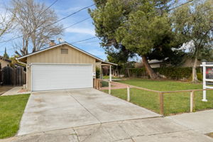 Photo-3