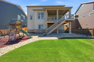 Backyard - Turf Lawn