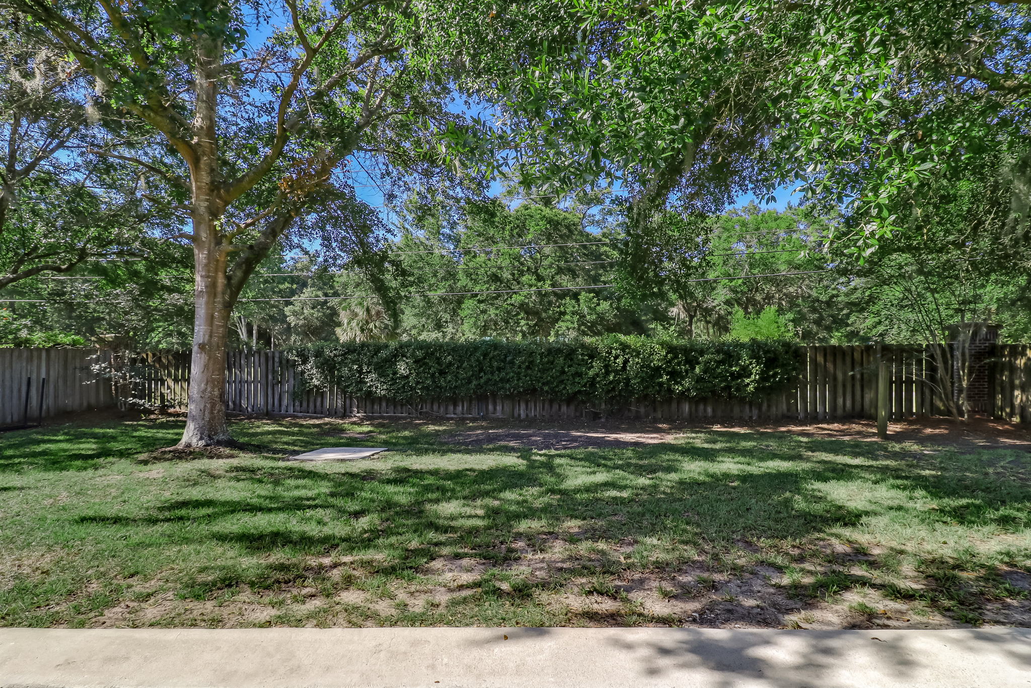 Back Yard