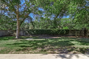 Back Yard