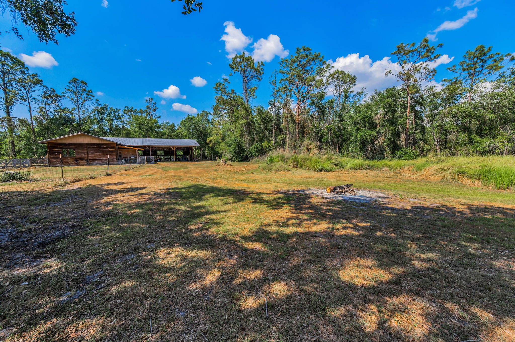 Backyard6