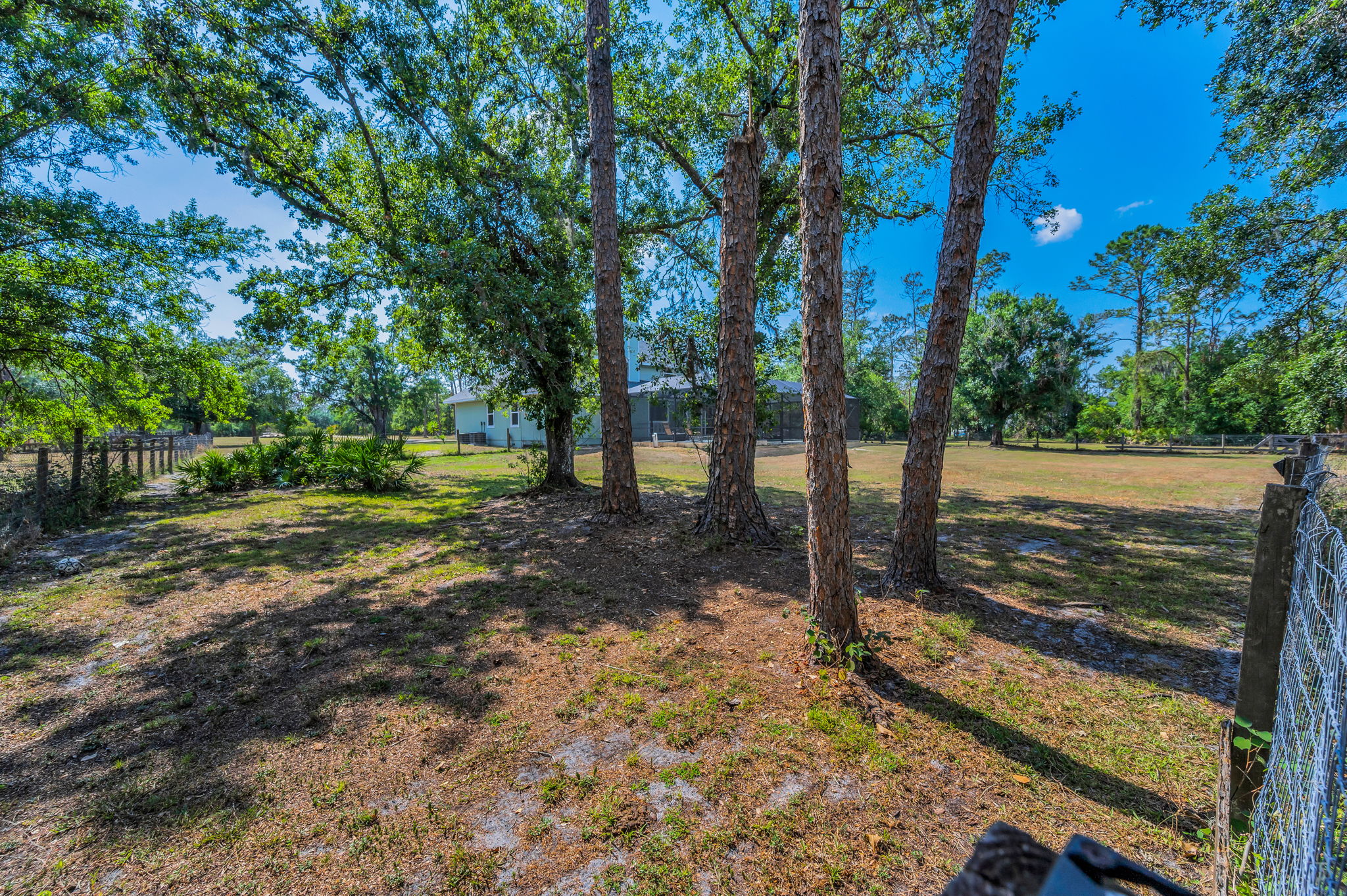 Fenced Backyard4