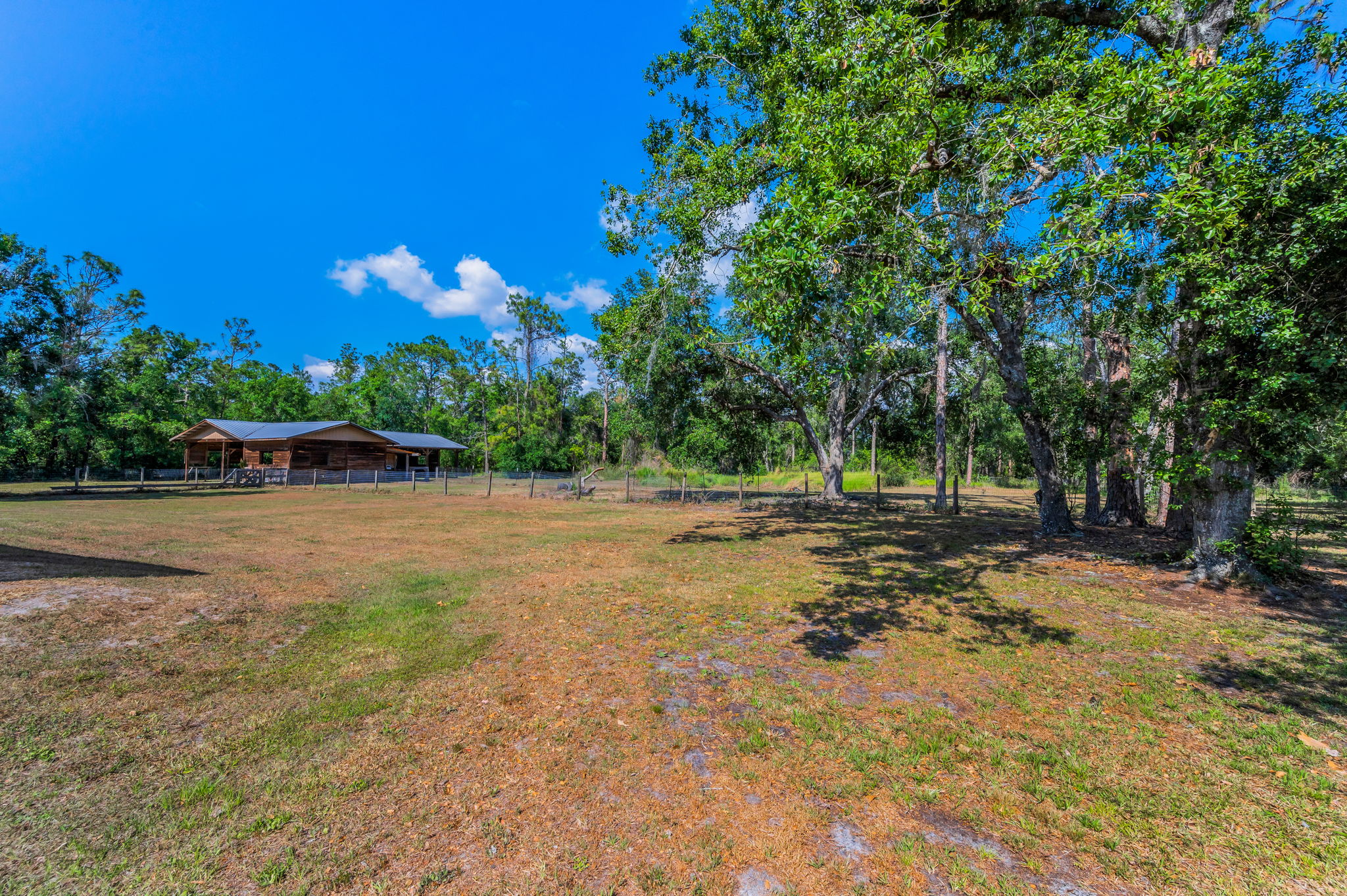 Fenced Backyard6