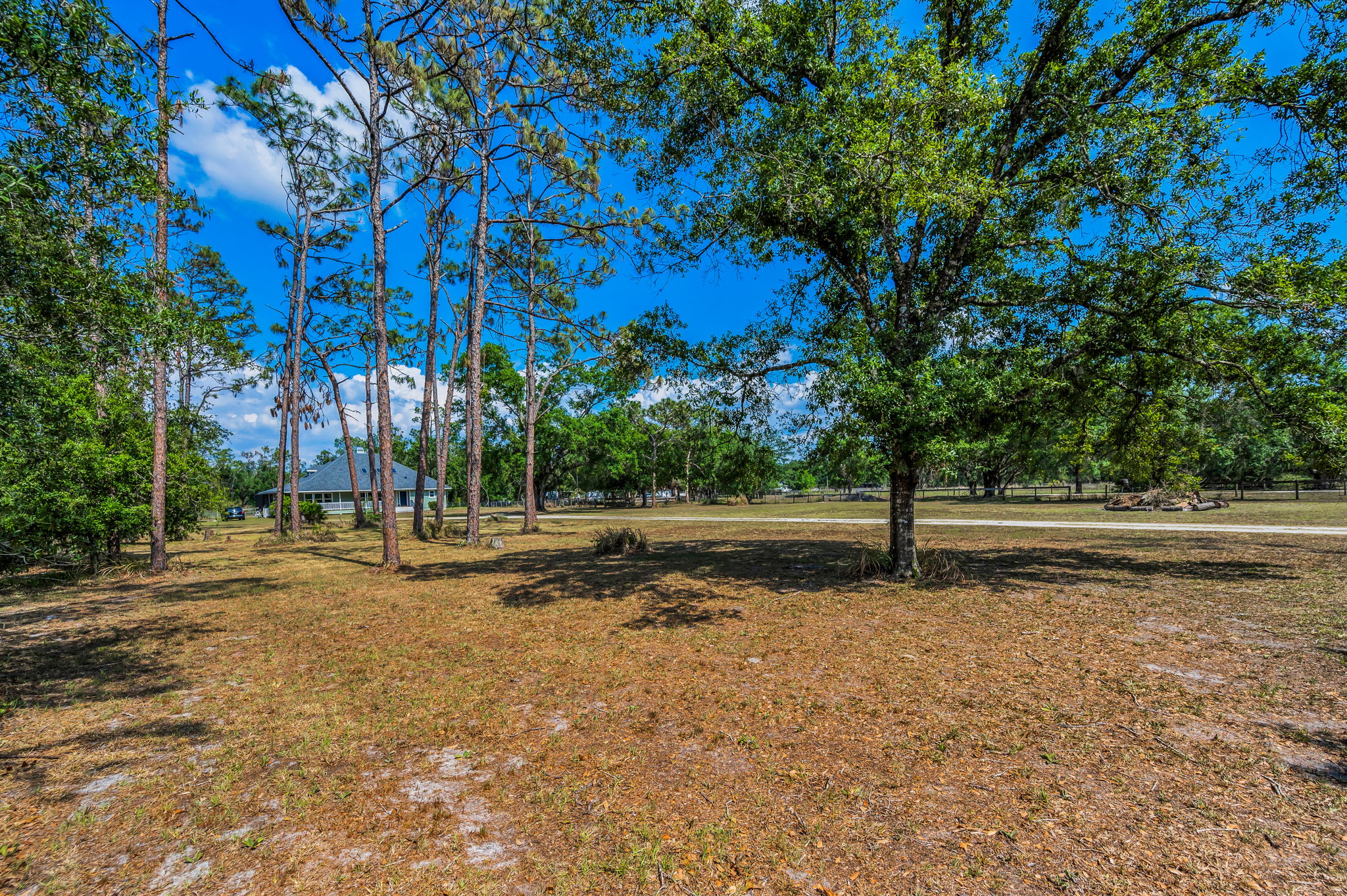 Frontyard3