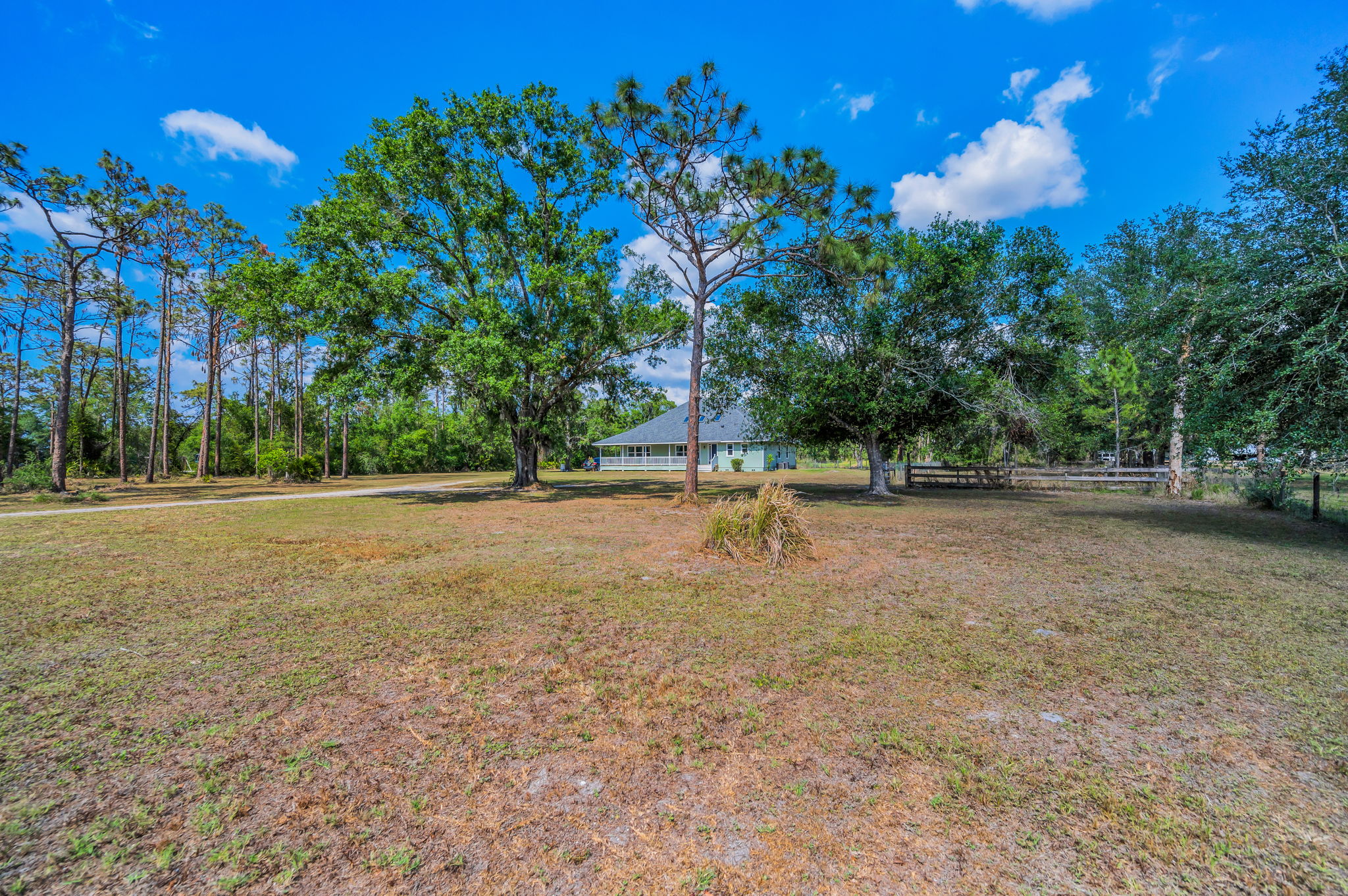 Frontyard8