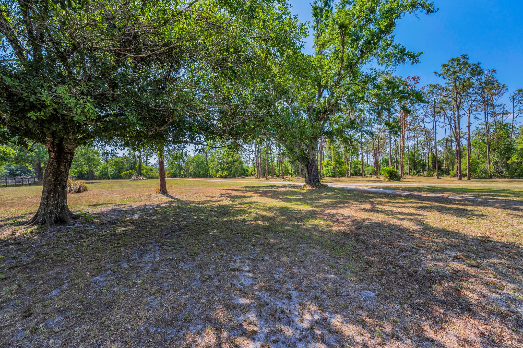 Frontyard13