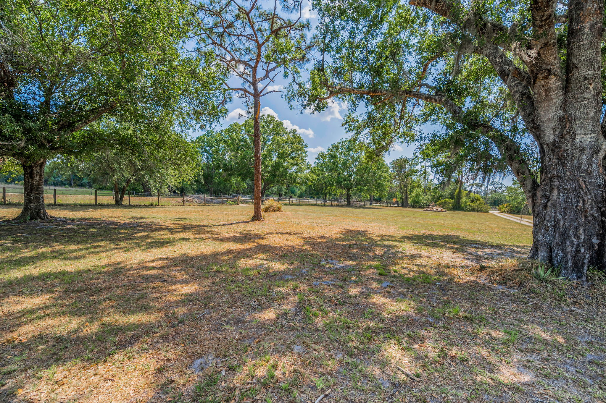 Frontyard14