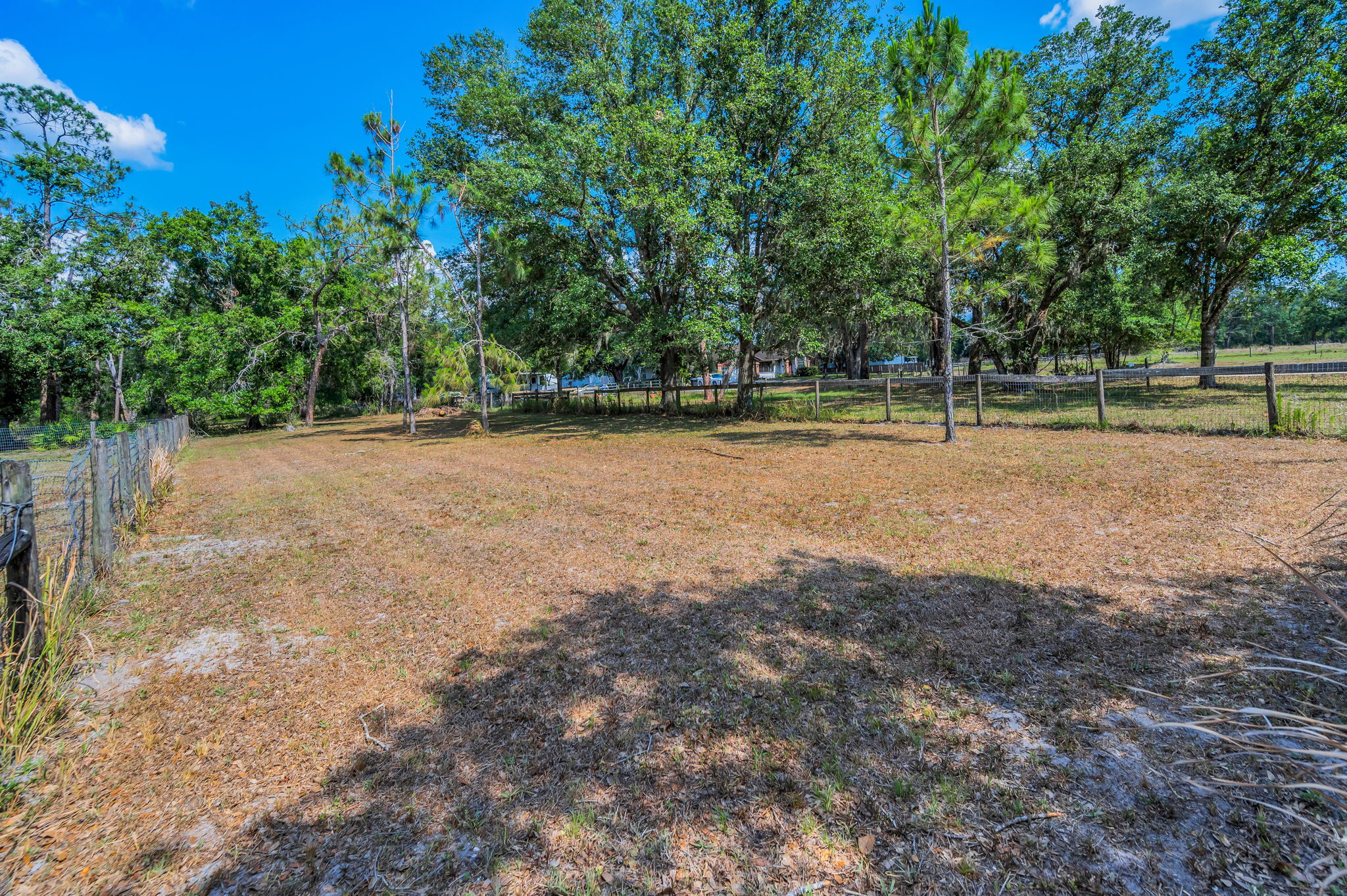 Pasture2