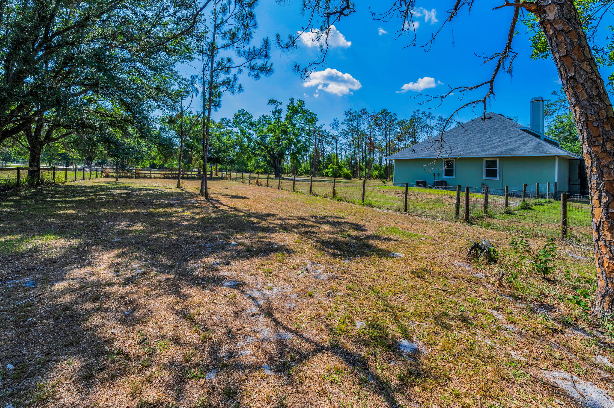 Pasture3