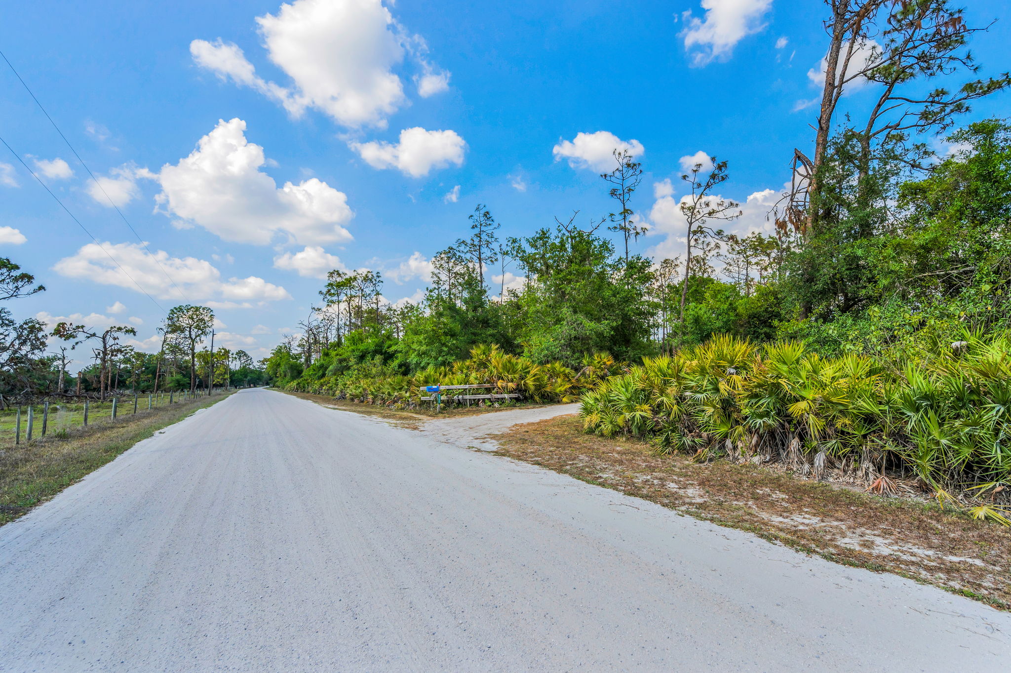 Street View2