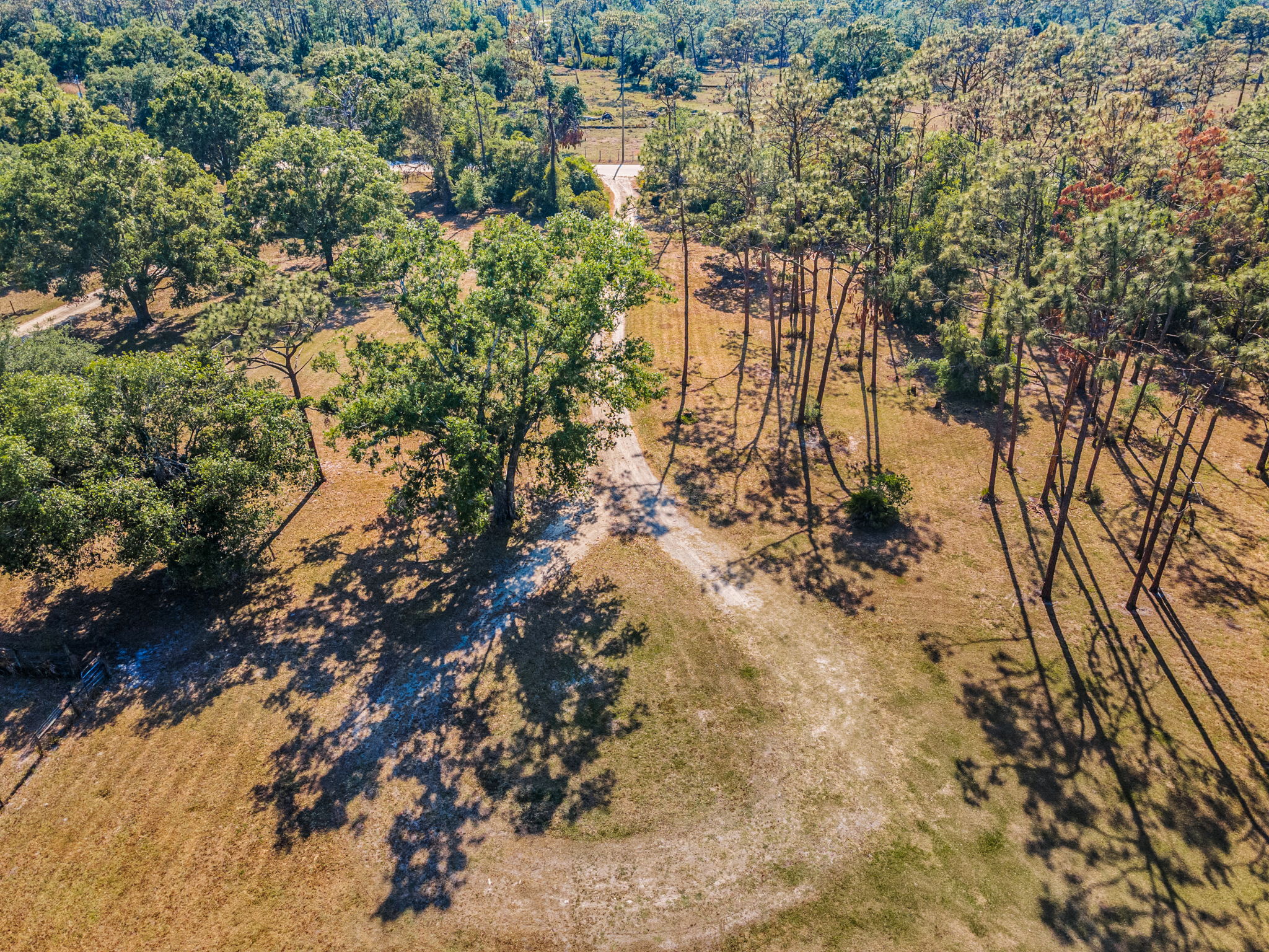 Aerial (24)