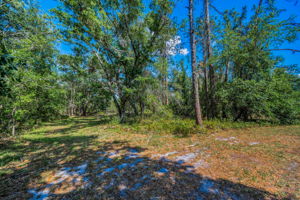 Backyard Trail1
