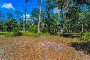 Backyard Trail2