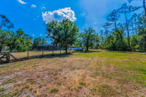 Backyard3