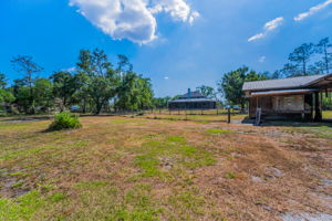 Barn and Backyard