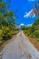 Driveway2
