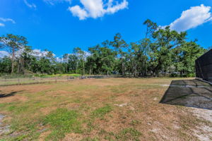 Fenced Backyard1
