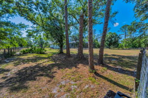 Fenced Backyard4
