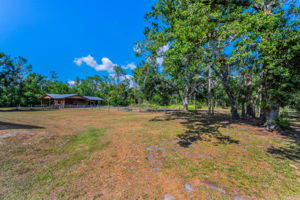Fenced Backyard6