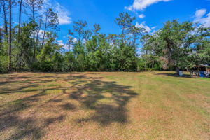 Frontyard11