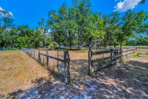 Pasture1